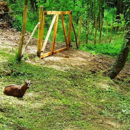 Villa complète au calme avec vue imprenable Beausemblant Esterno foto